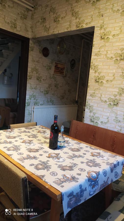 Abacsko Haz Villa Abádszalók Екстериор снимка